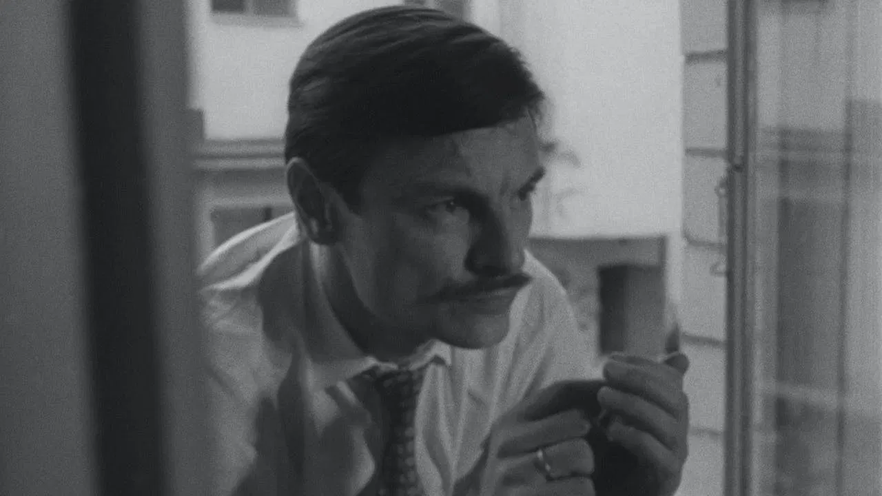 The Three Andreis backdrop