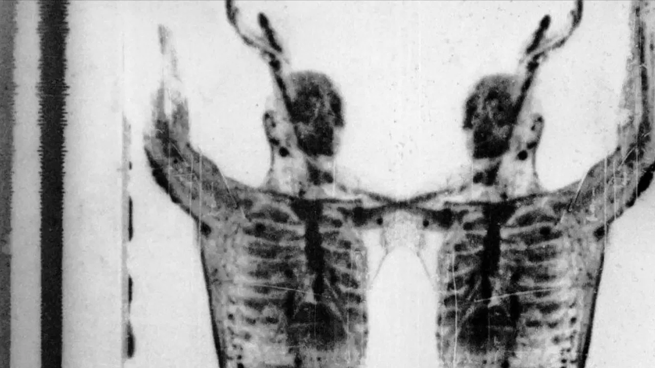 The Radio Wave of Blood Beneath the Dirt Ice and Flowers backdrop