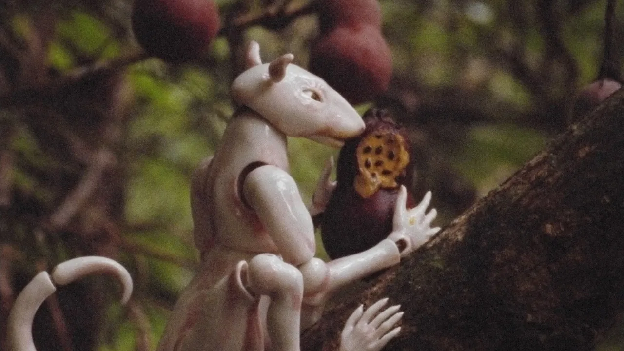 Winter In The Rainforest backdrop