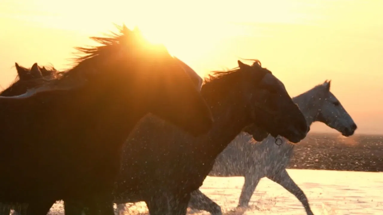 A Place to Go backdrop