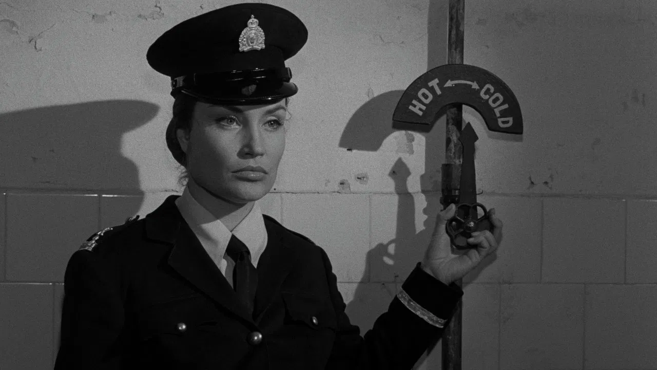 Devil's Girls backdrop