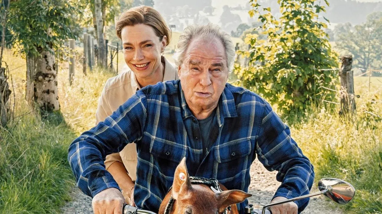 Zimmer mit Stall - Schwein gehabt backdrop