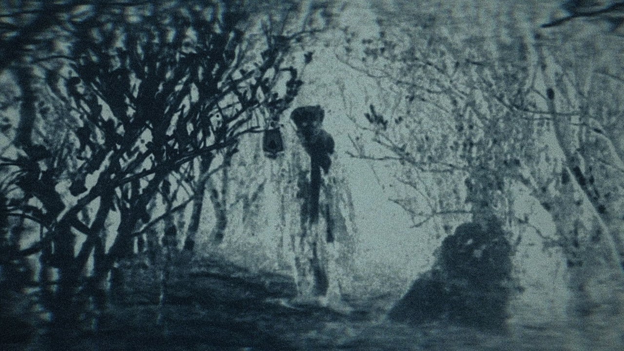 Sitio Liway backdrop