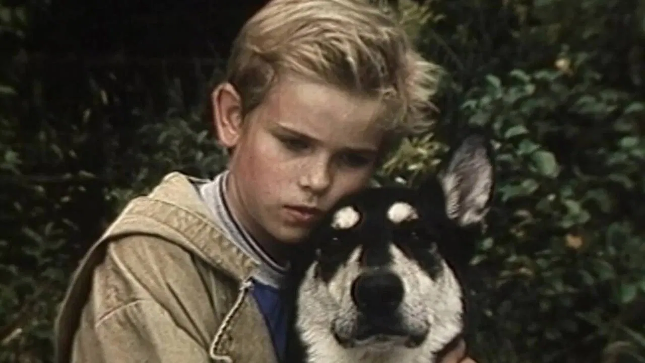 Little Fighter backdrop