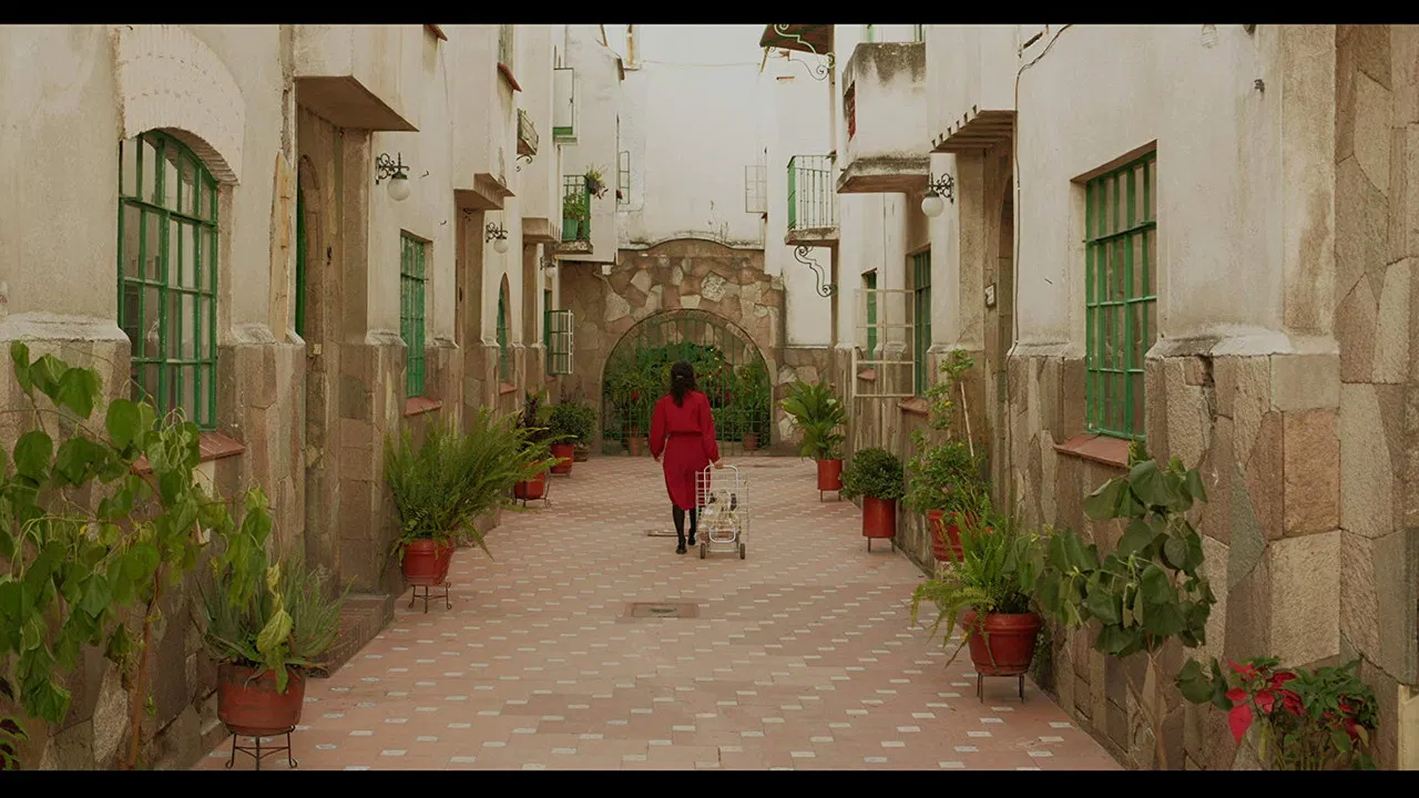 Lonesome Collectors backdrop