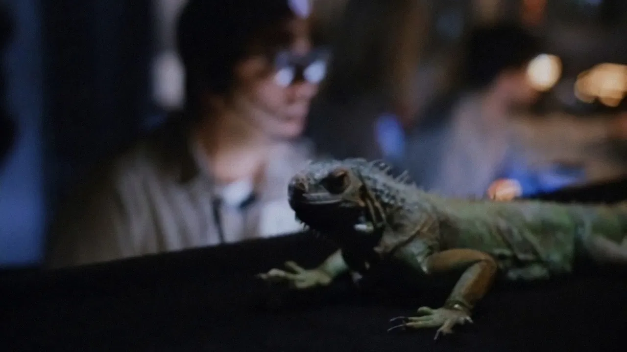 Carnosaur 2 backdrop