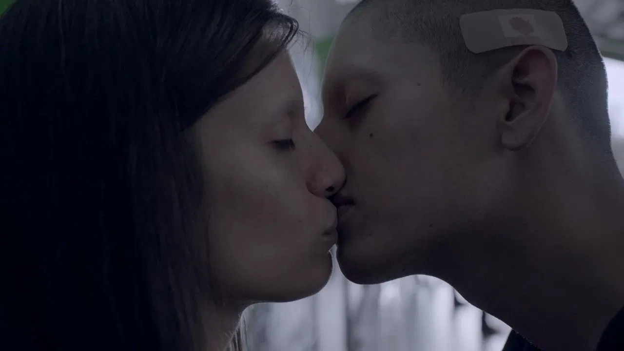 50 or Two Whales Meet at the Beach backdrop