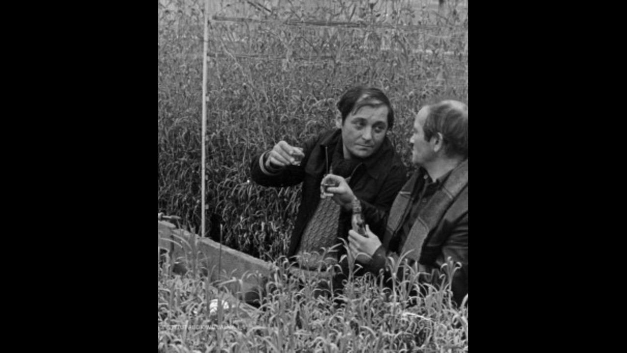 Siedem czerwonych róż, czyli Benek kwiaciarz o sobie i o innych backdrop