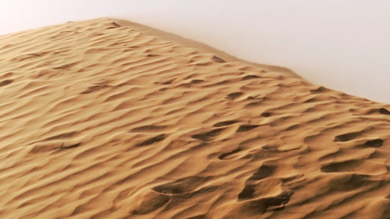 SADDAM HUSSAINÉ backdrop