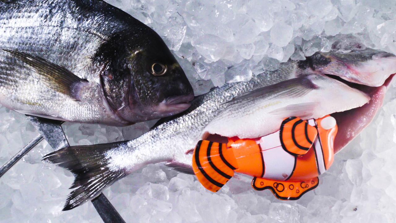 Empty Feet & Fireflies backdrop