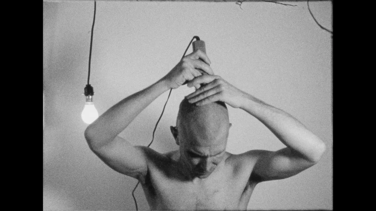 softer, softest backdrop