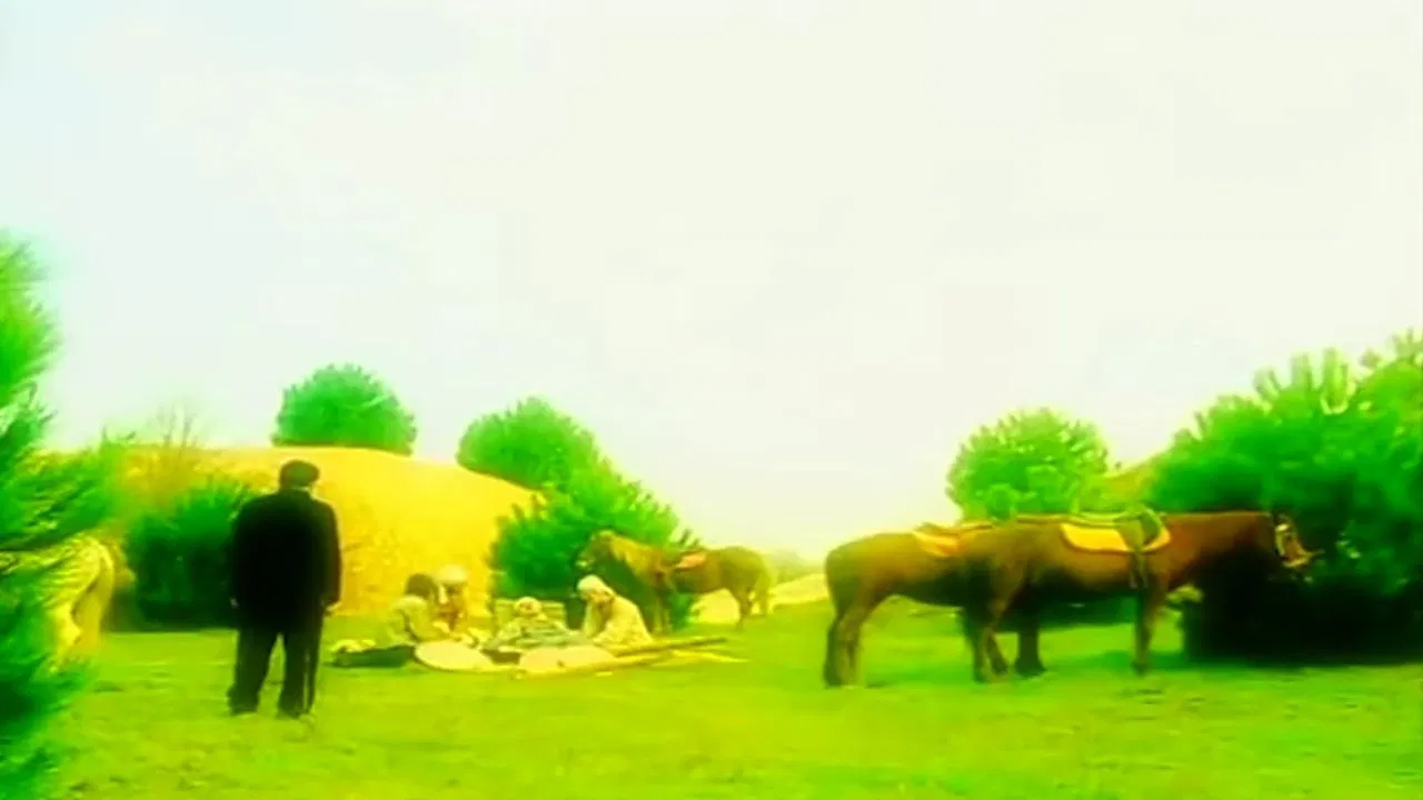 Eyüp Sultan Yolcusu backdrop