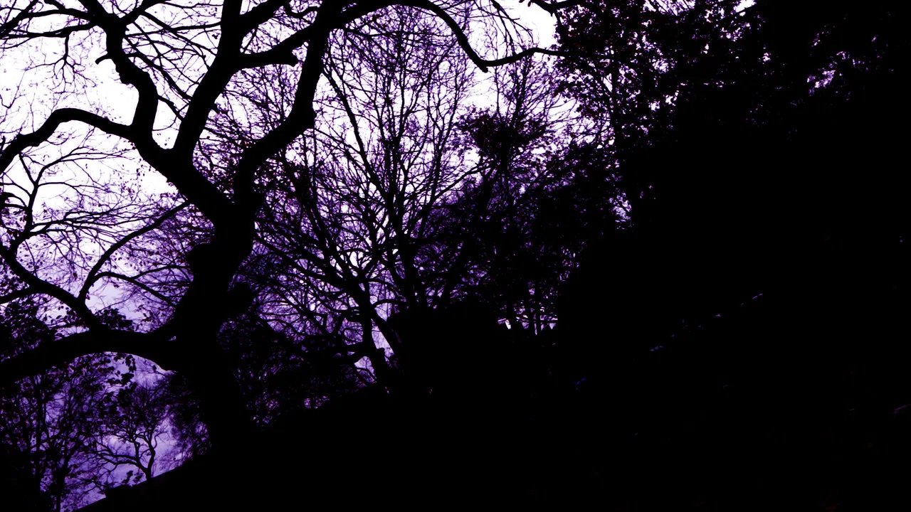 Deirdre Of The Sorrows backdrop