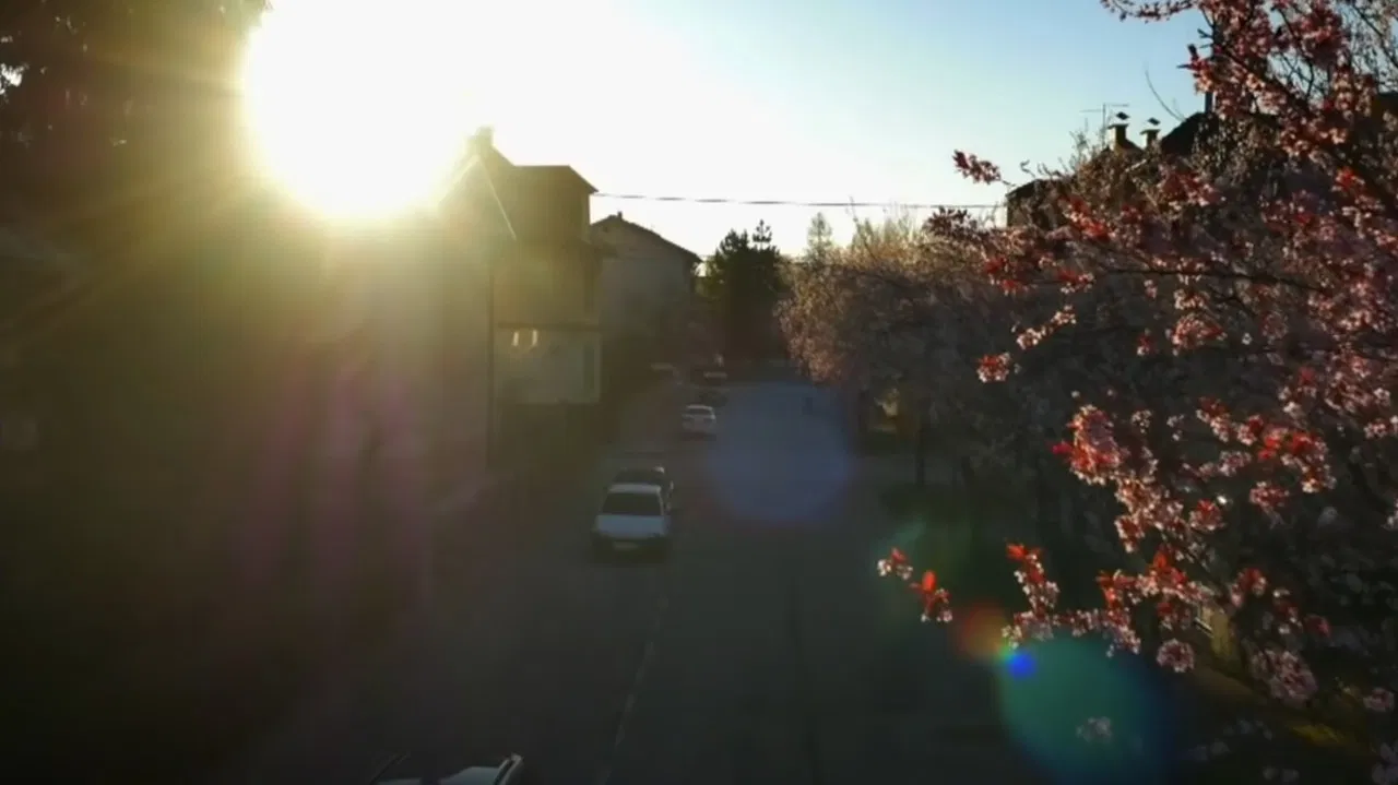 NOVA: Addiction backdrop