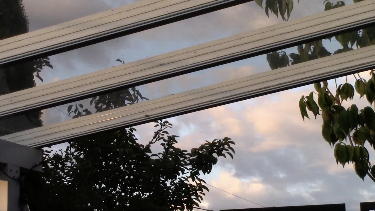 Bad Frequencies backdrop