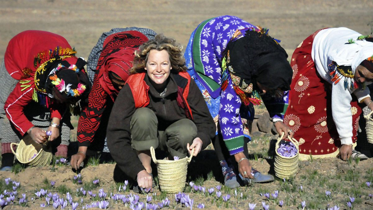 The Spice Trail backdrop