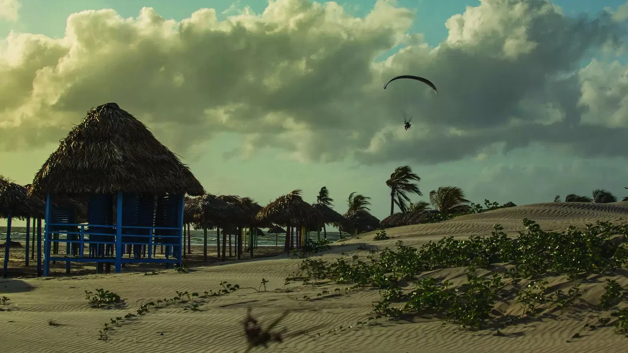 O Brasil Visto do Céu backdrop