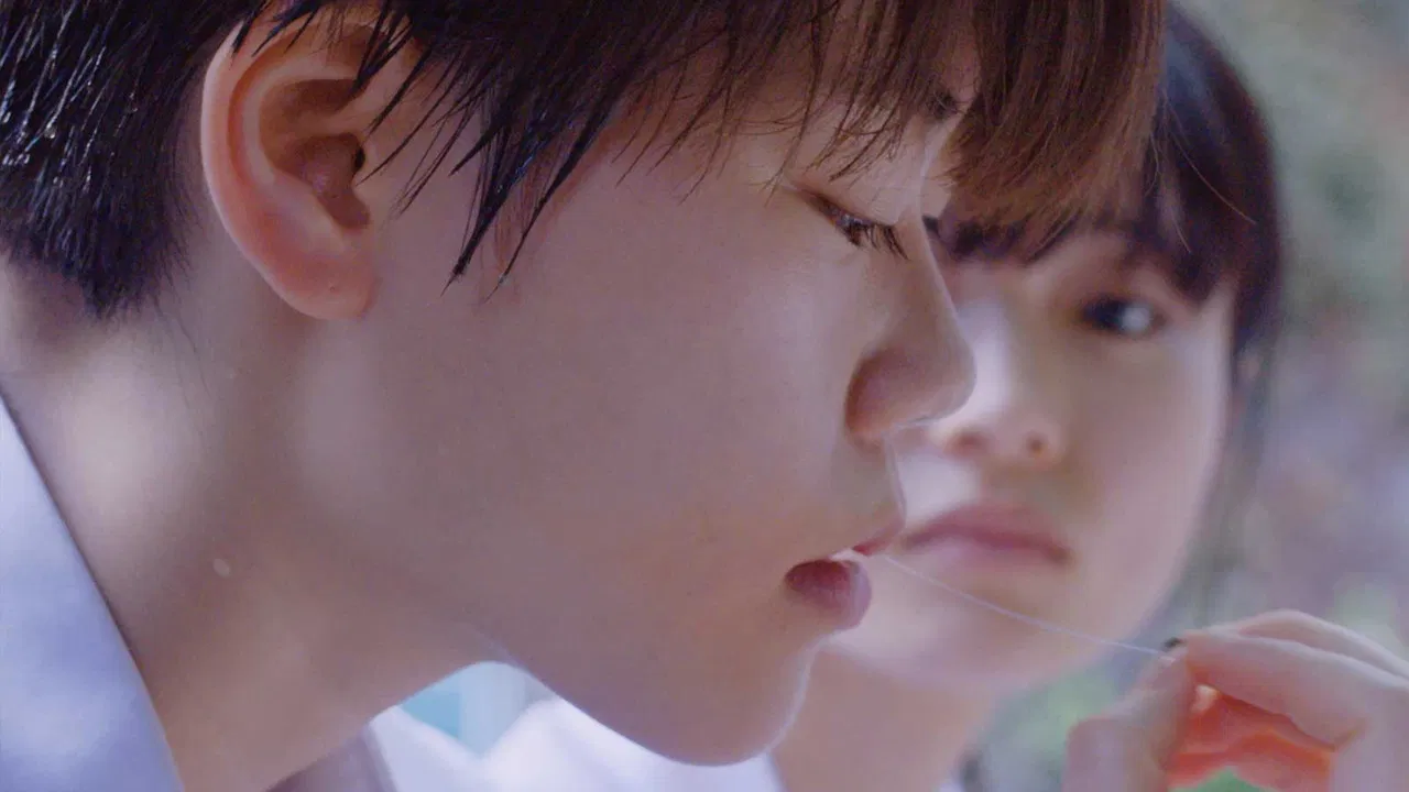 Watermelon Baby backdrop