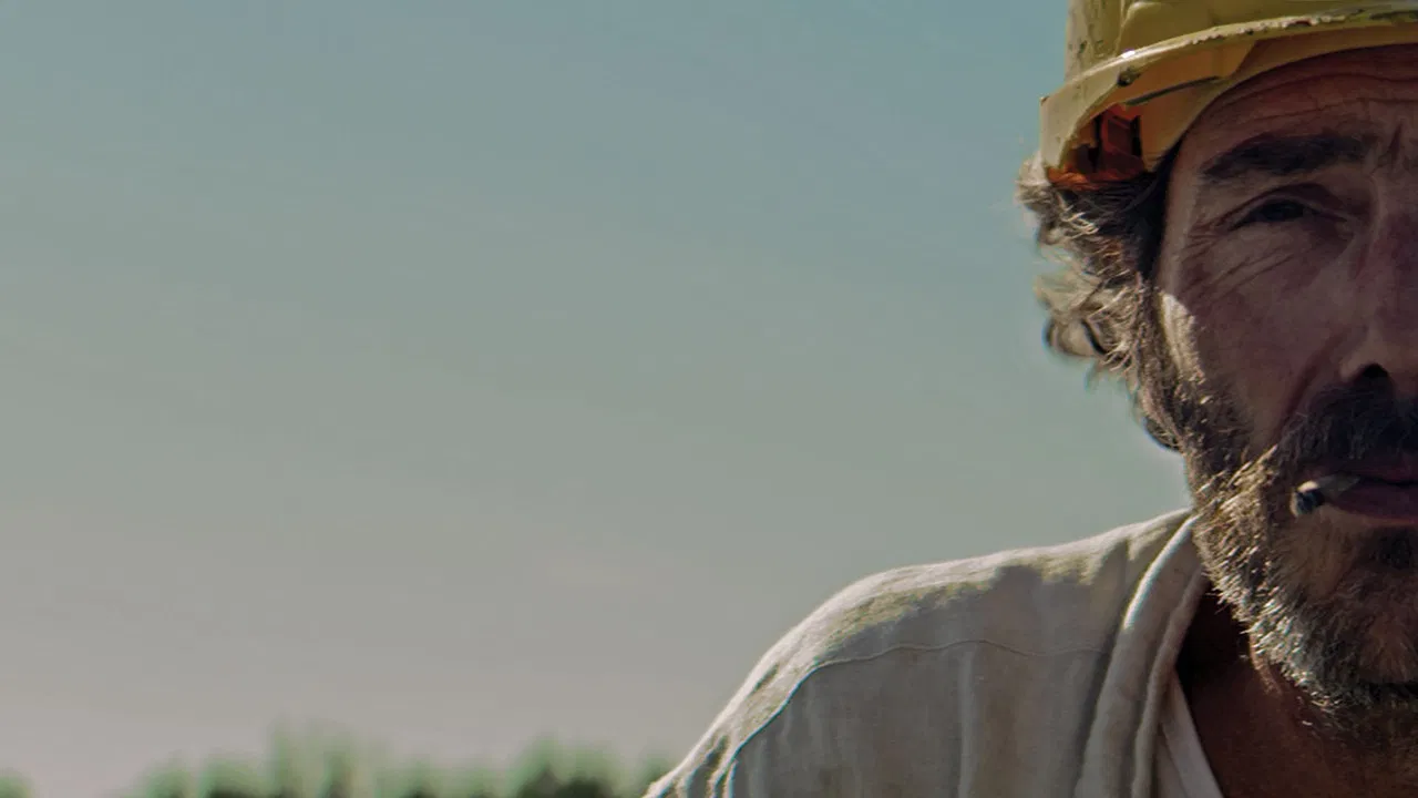 Happy Birthday backdrop