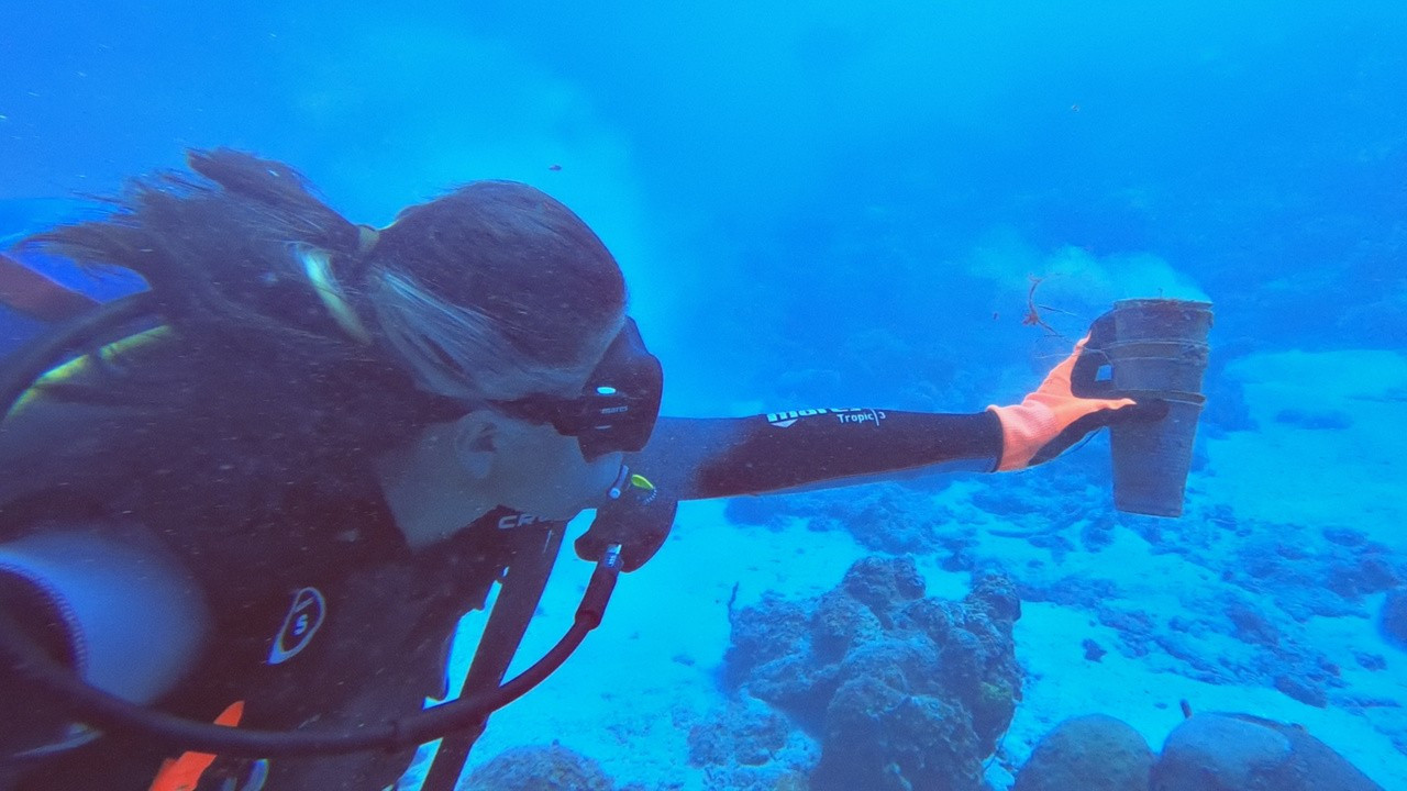 Julieta & the Turtles in the Plastic Soup backdrop