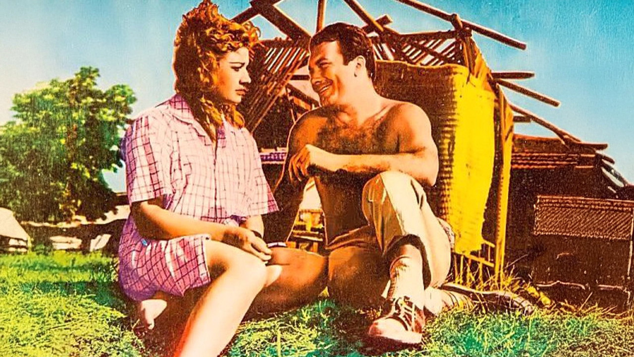 Oy Farfara Farfara backdrop