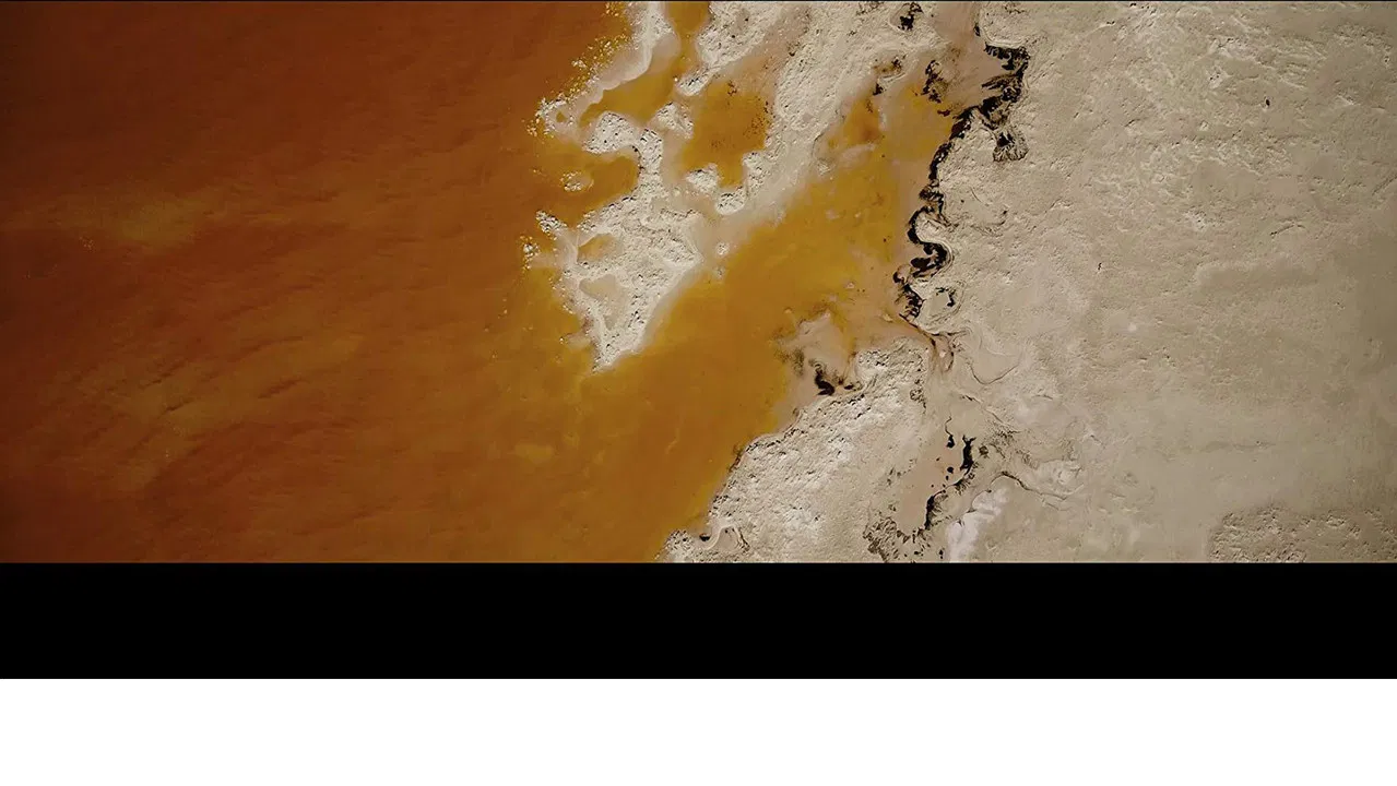 Tomorrow's Shores backdrop