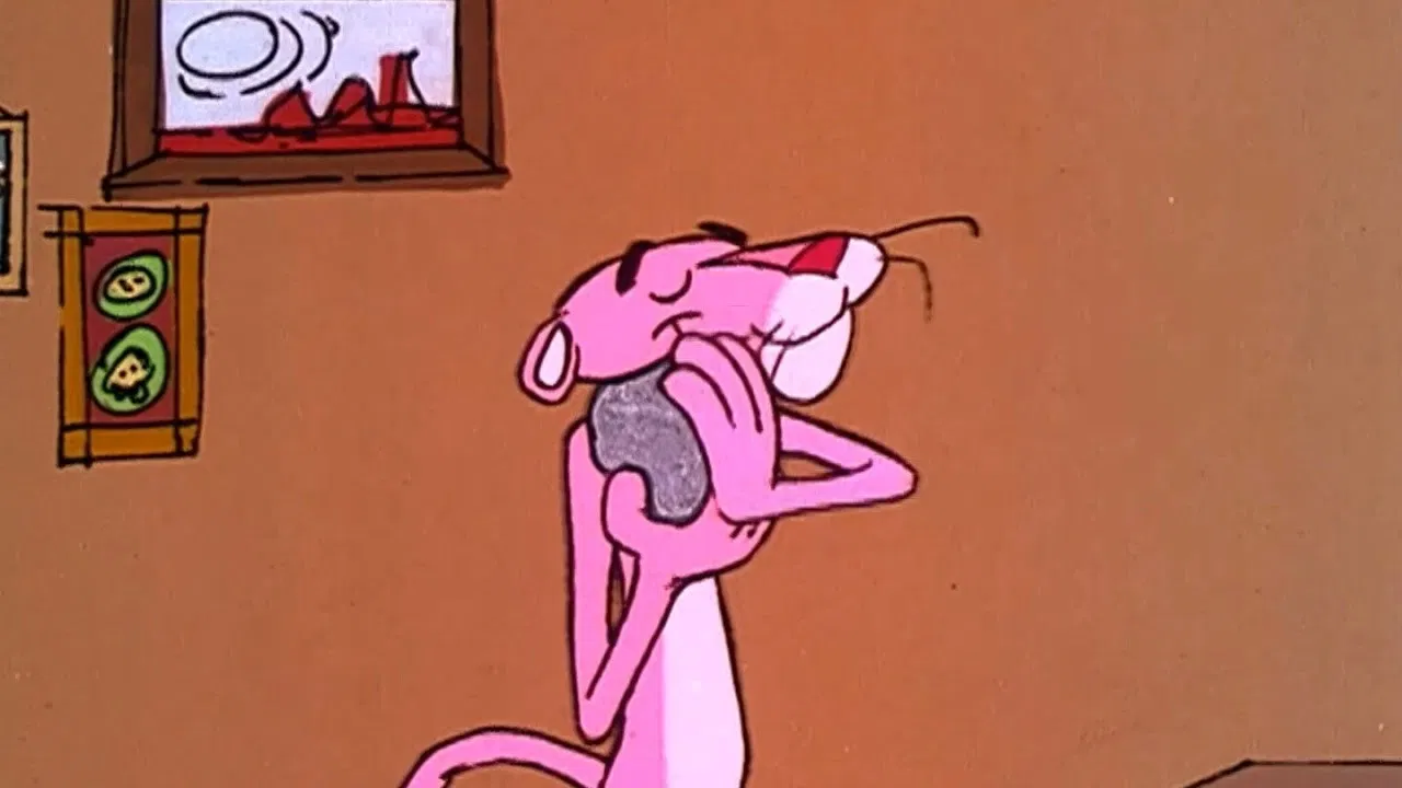 Pet Pink Pebbles backdrop