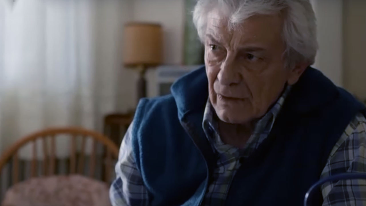 Las palomas y las bombas backdrop