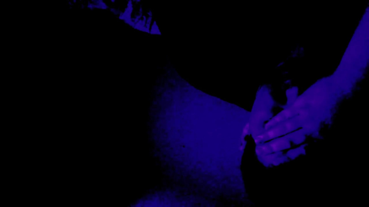 Birds in Maine backdrop