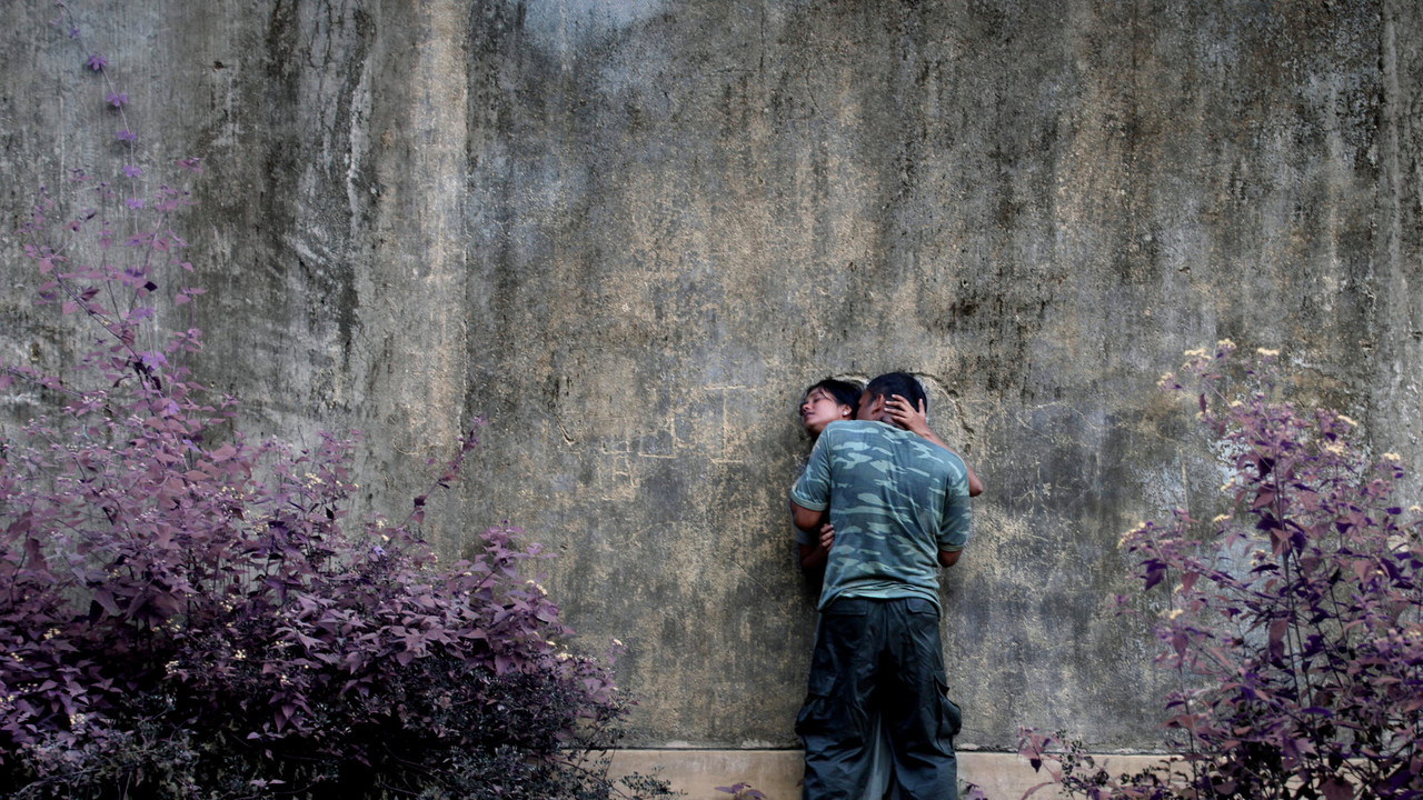 Flying Fish backdrop
