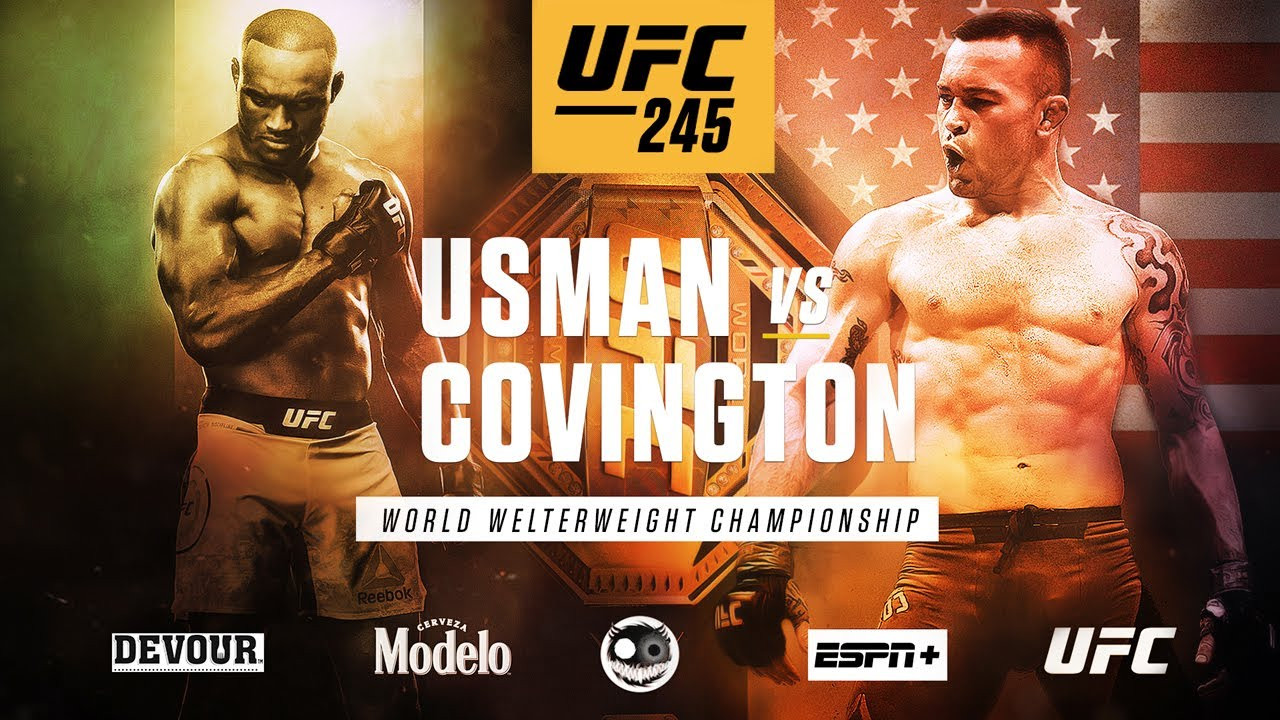 UFC 245: Usman vs. Covington backdrop
