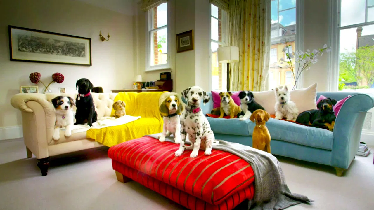 10 Puppies and Us backdrop