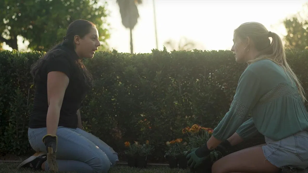 Poisoned Glass backdrop