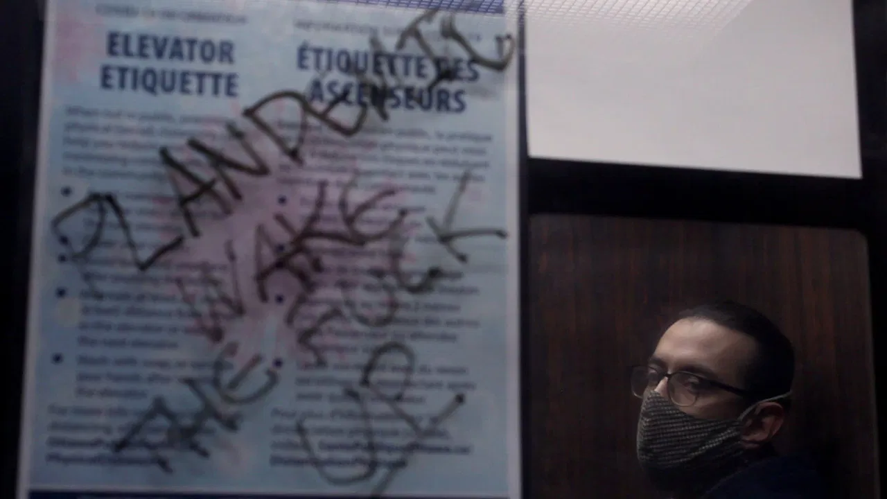 Belated Days backdrop