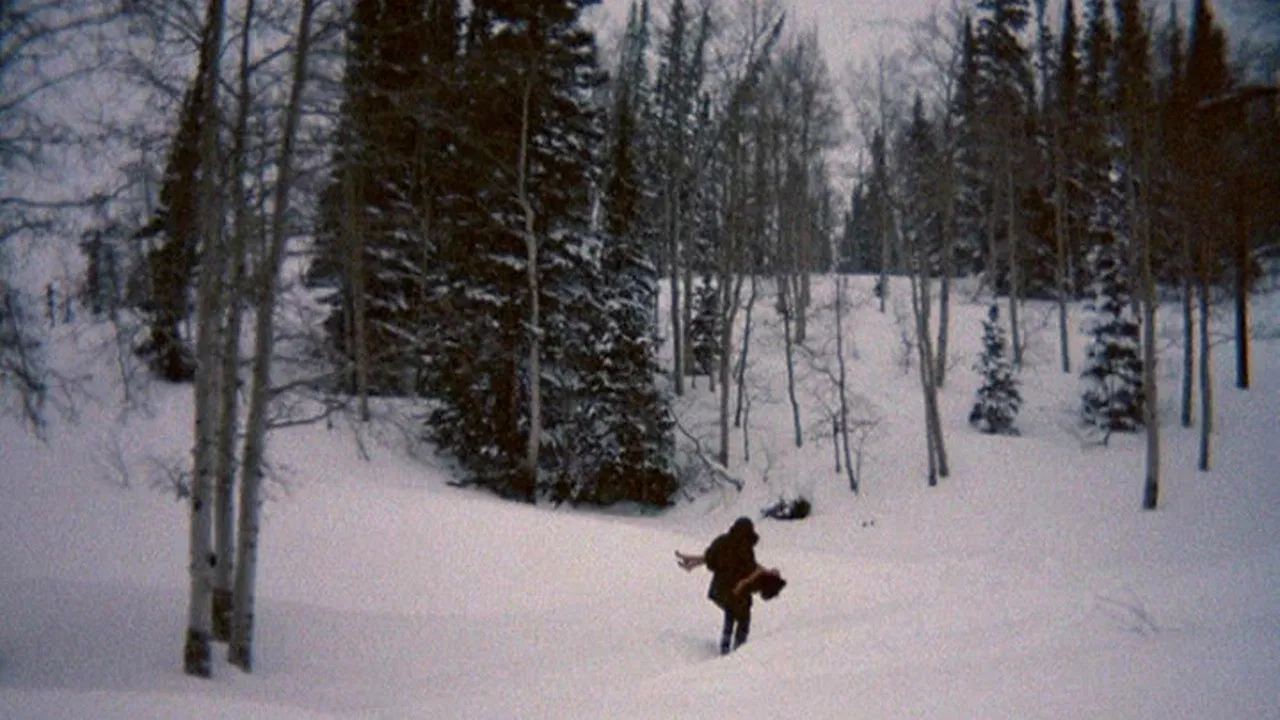 The Deliberate Stranger backdrop