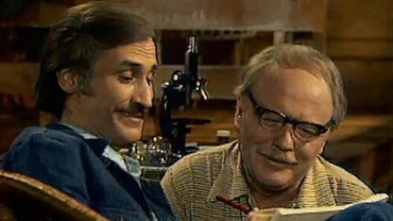 Eciton Burchellii backdrop