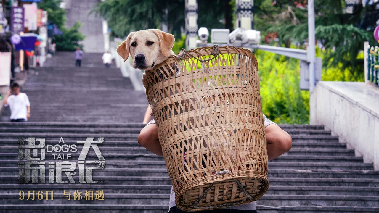 A Dog's Tale backdrop