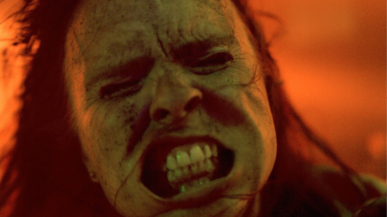 Dora Who Came from Highway backdrop