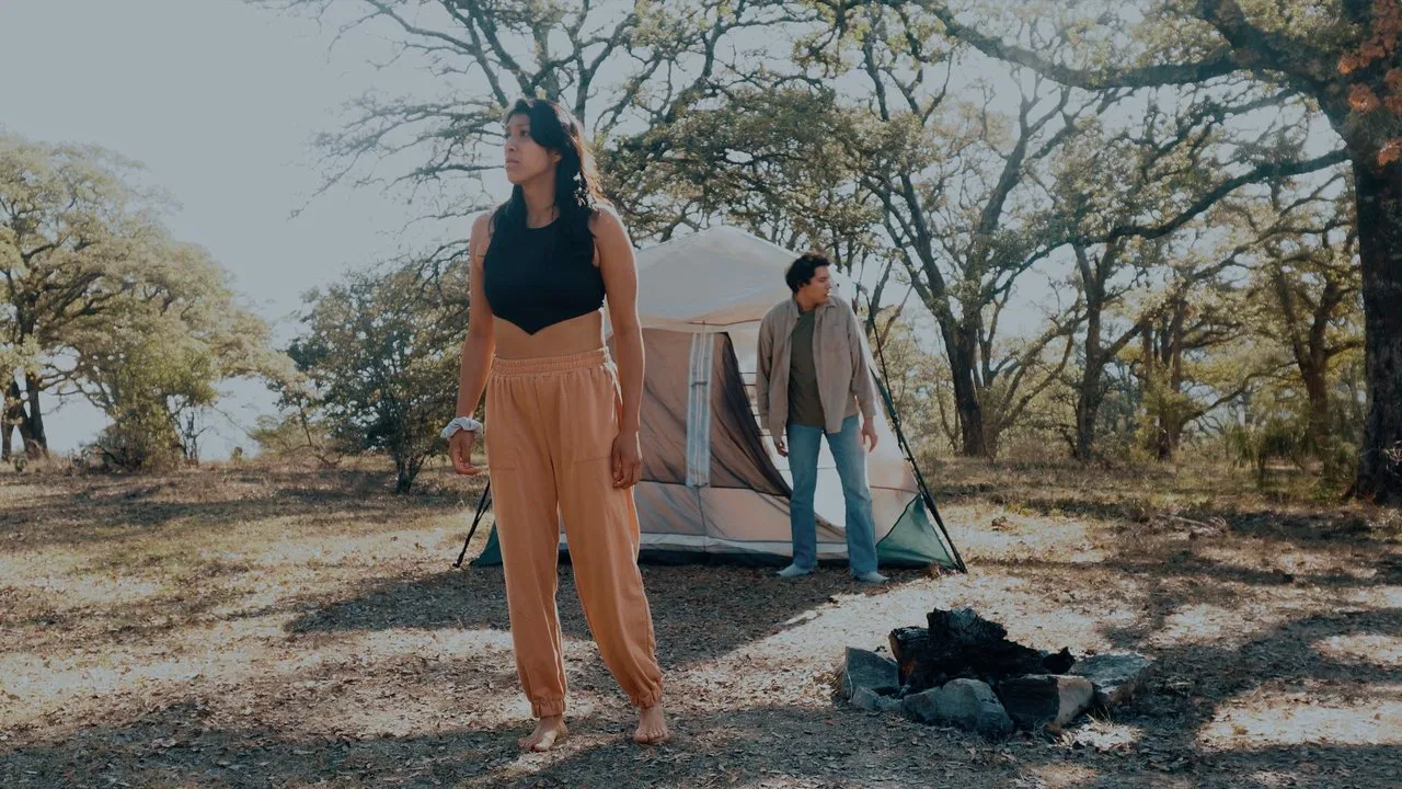 The Contact backdrop