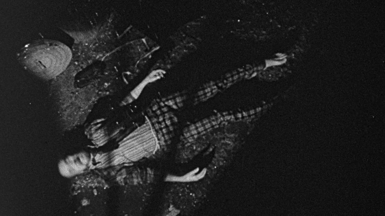 Bugs Without Morals backdrop