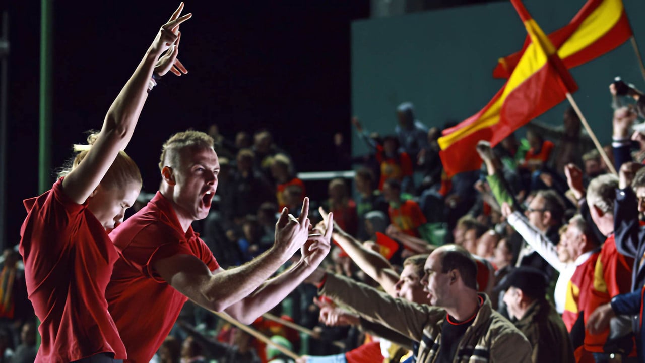 Flying Pigs backdrop