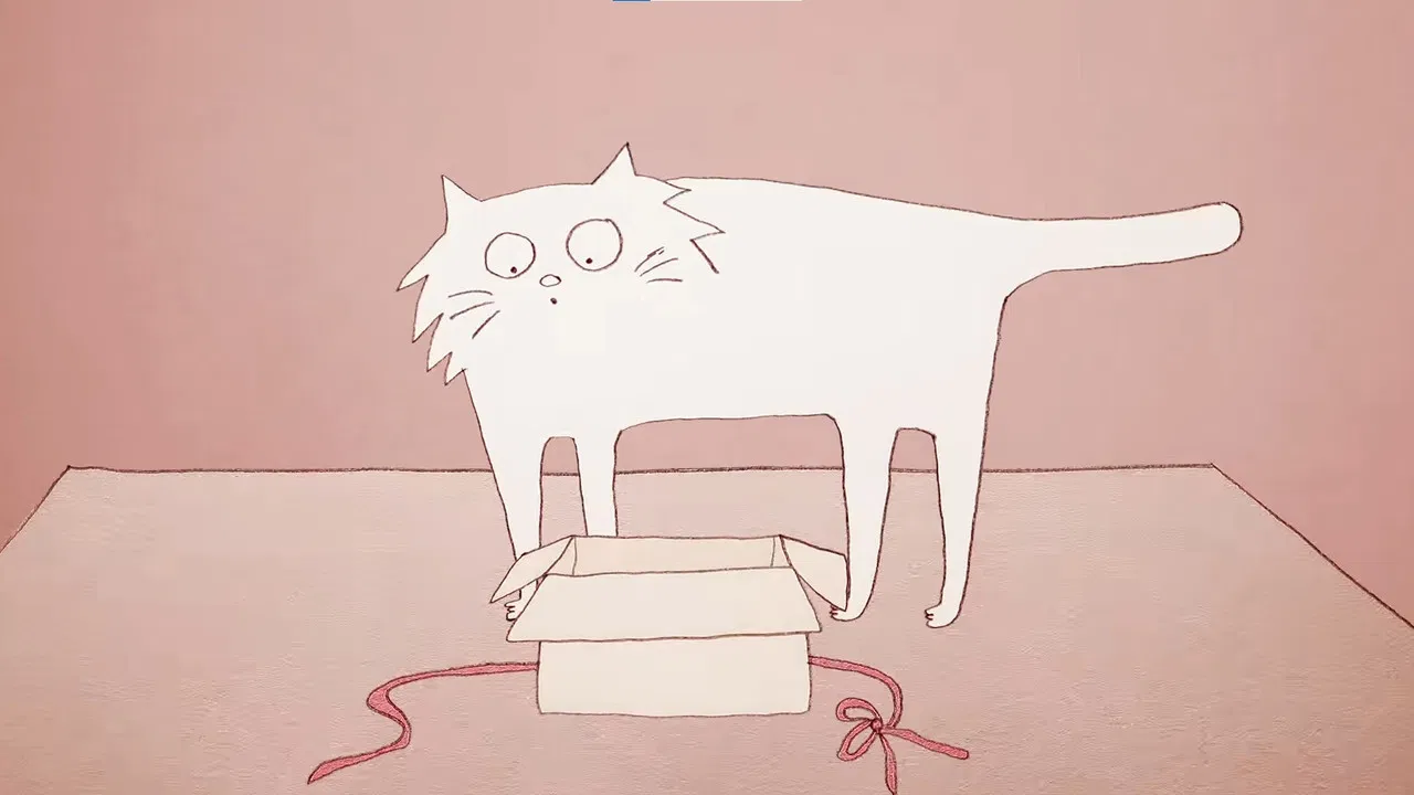 Why Do Cats Act So Weird? backdrop