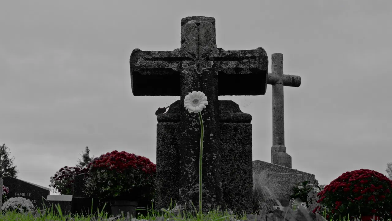 The Destination backdrop