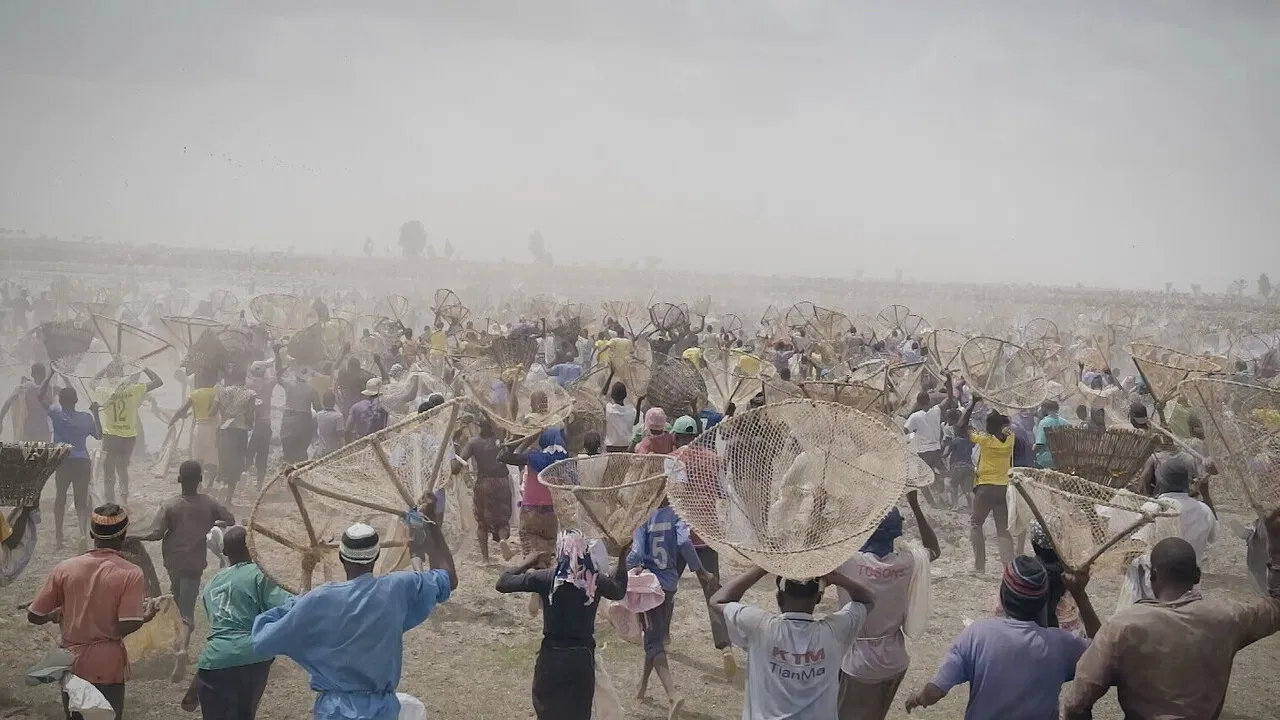 I bɔyɔrɔ, d’où viens-tu ?  backdrop