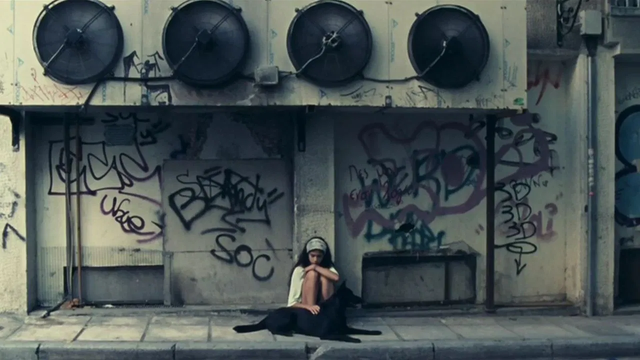 Thirteen Blue backdrop