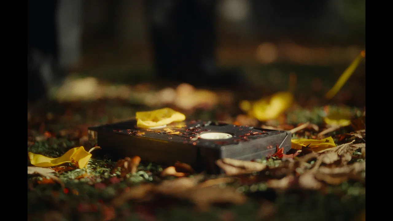 PICTURE DAY backdrop