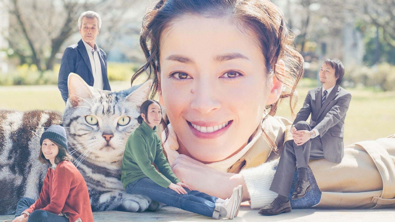 Gu Gu the Cat backdrop