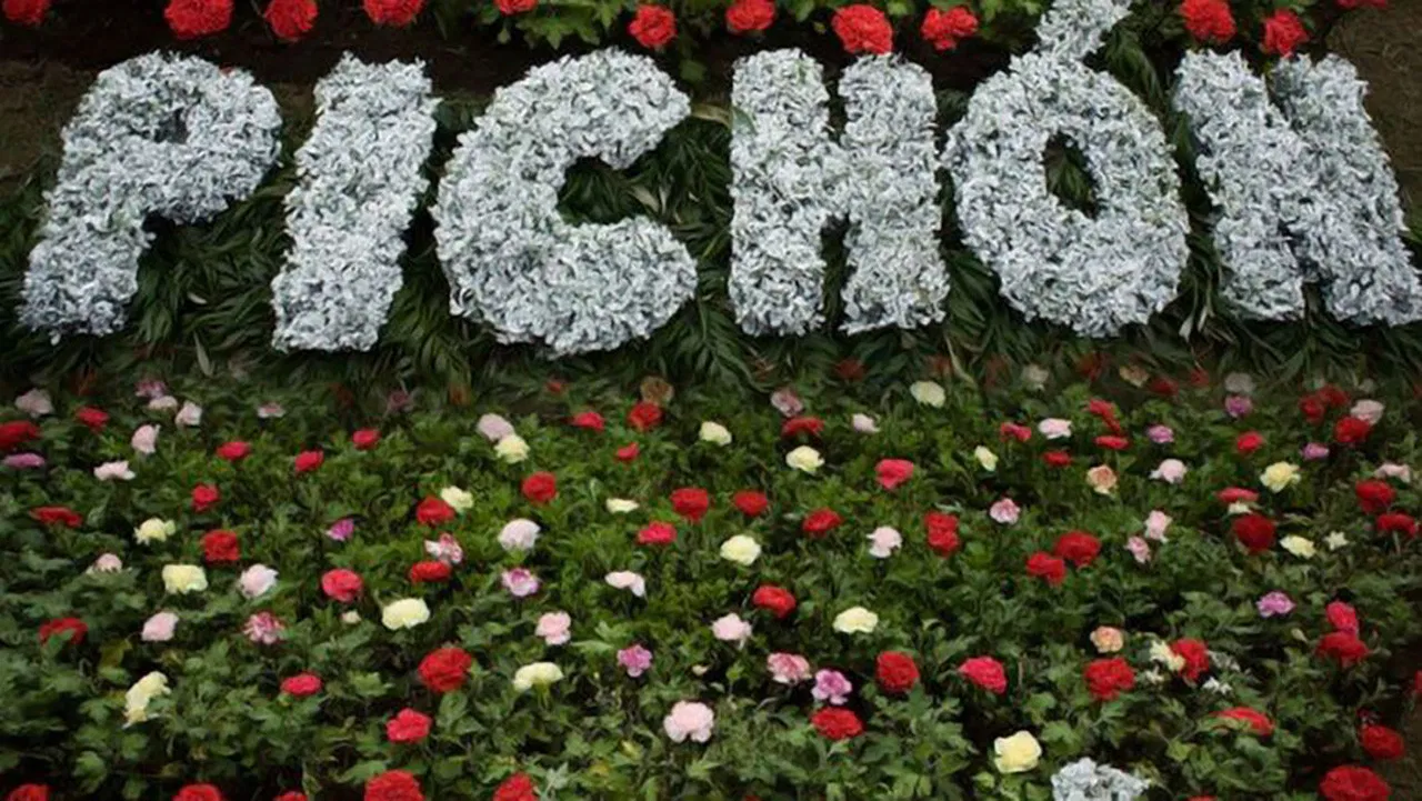 Un jardín para Pichón backdrop