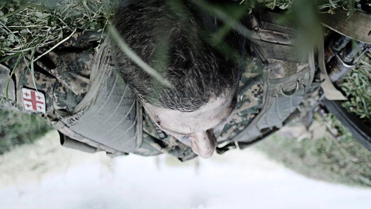 Safe Corridor backdrop