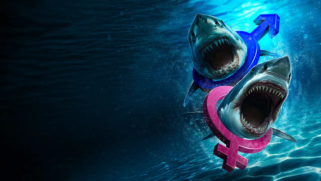 Great White Sex Battle backdrop